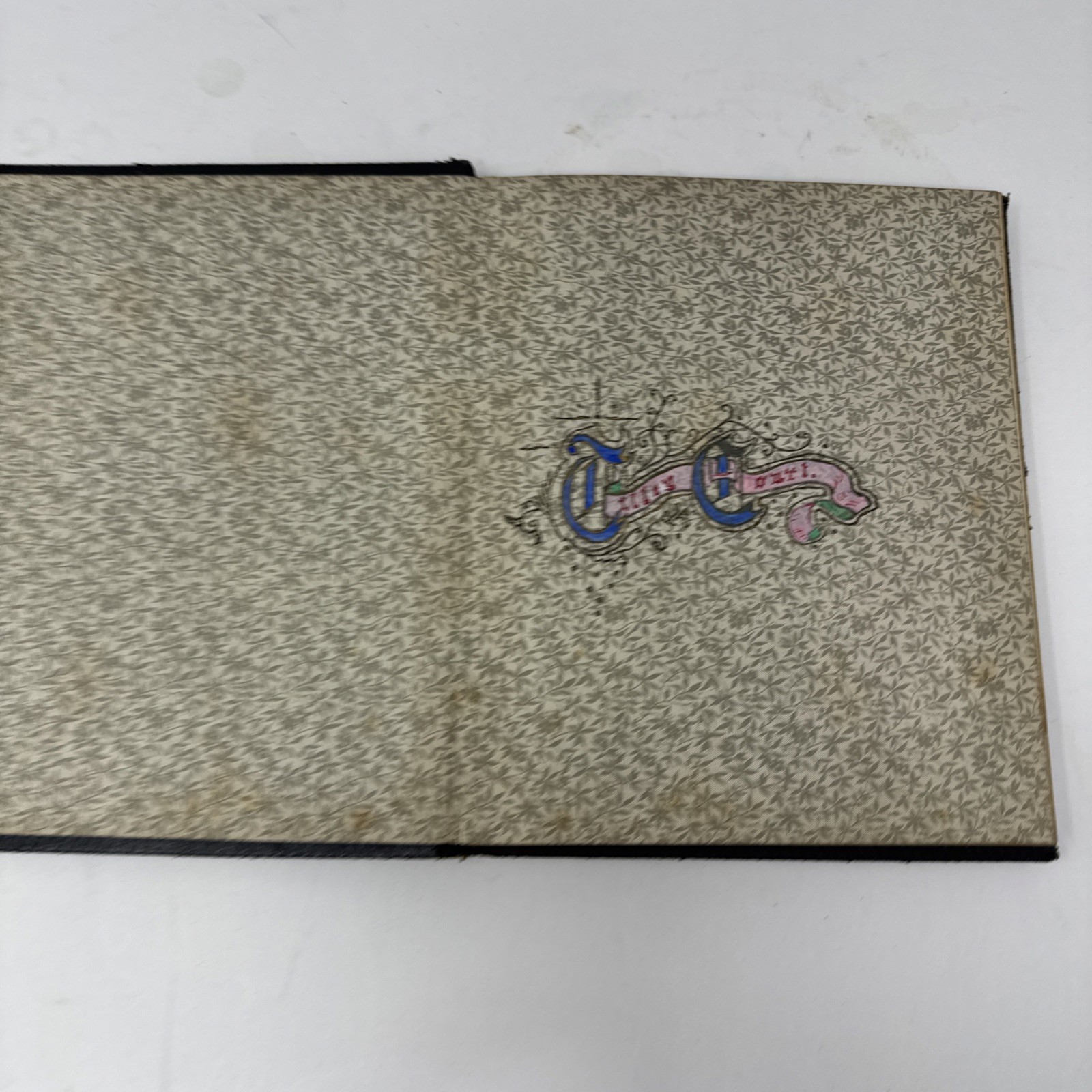 Antique Victorian Poetry Album 1890–1910 Handwritten Manuscript Gilt Pages