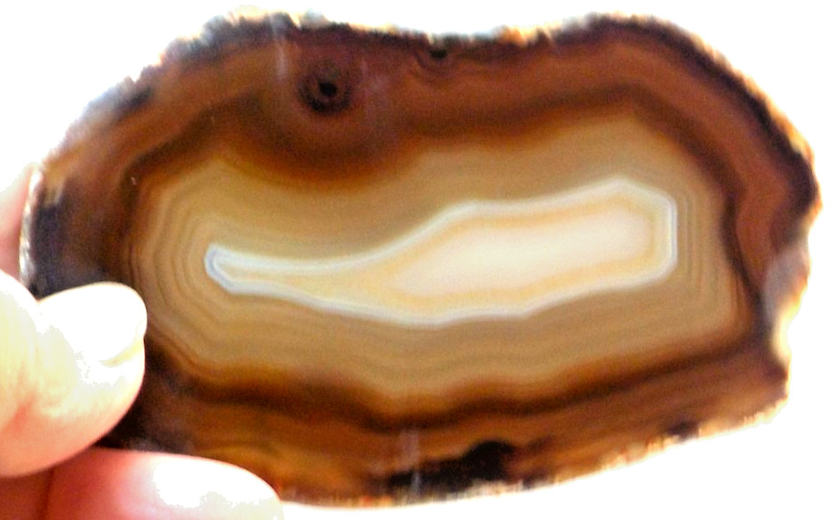 5 Fabulous Agates Total 8.2 Ounces 1st 5 Pictures Wet #3665