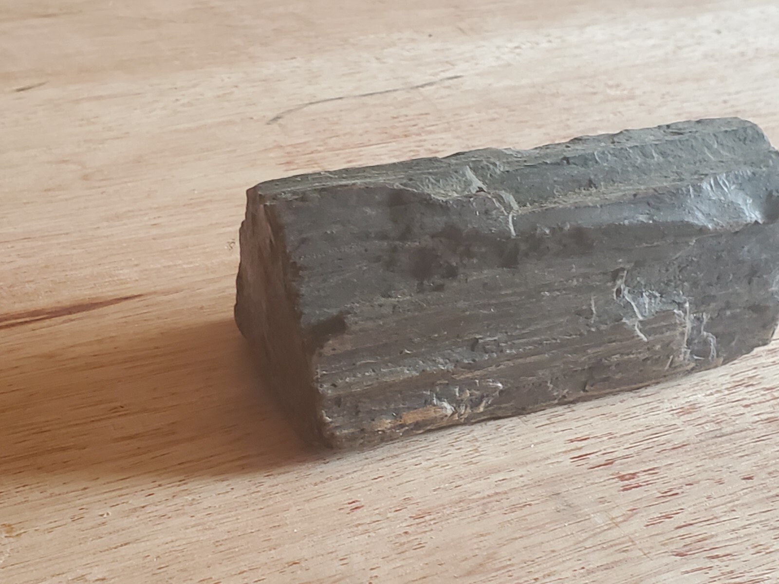 Petrified Wood Tree Log Branch 1+ Pounds Fossil Fossilized 2″ x 4-1/2″ x 2″