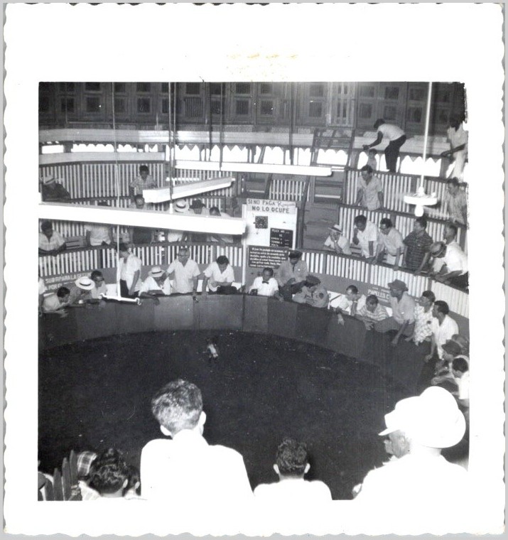 1962 Cock Fight Palenque Puerto Rico Male Spectators & Spanish Signs Photograph
