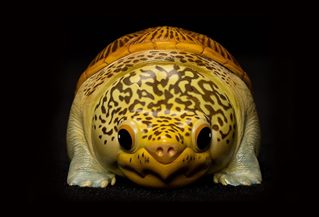 【In-Stock】 Animal Heavenly Body Narrow-Bridged Musk Turtle Claudius Statue
