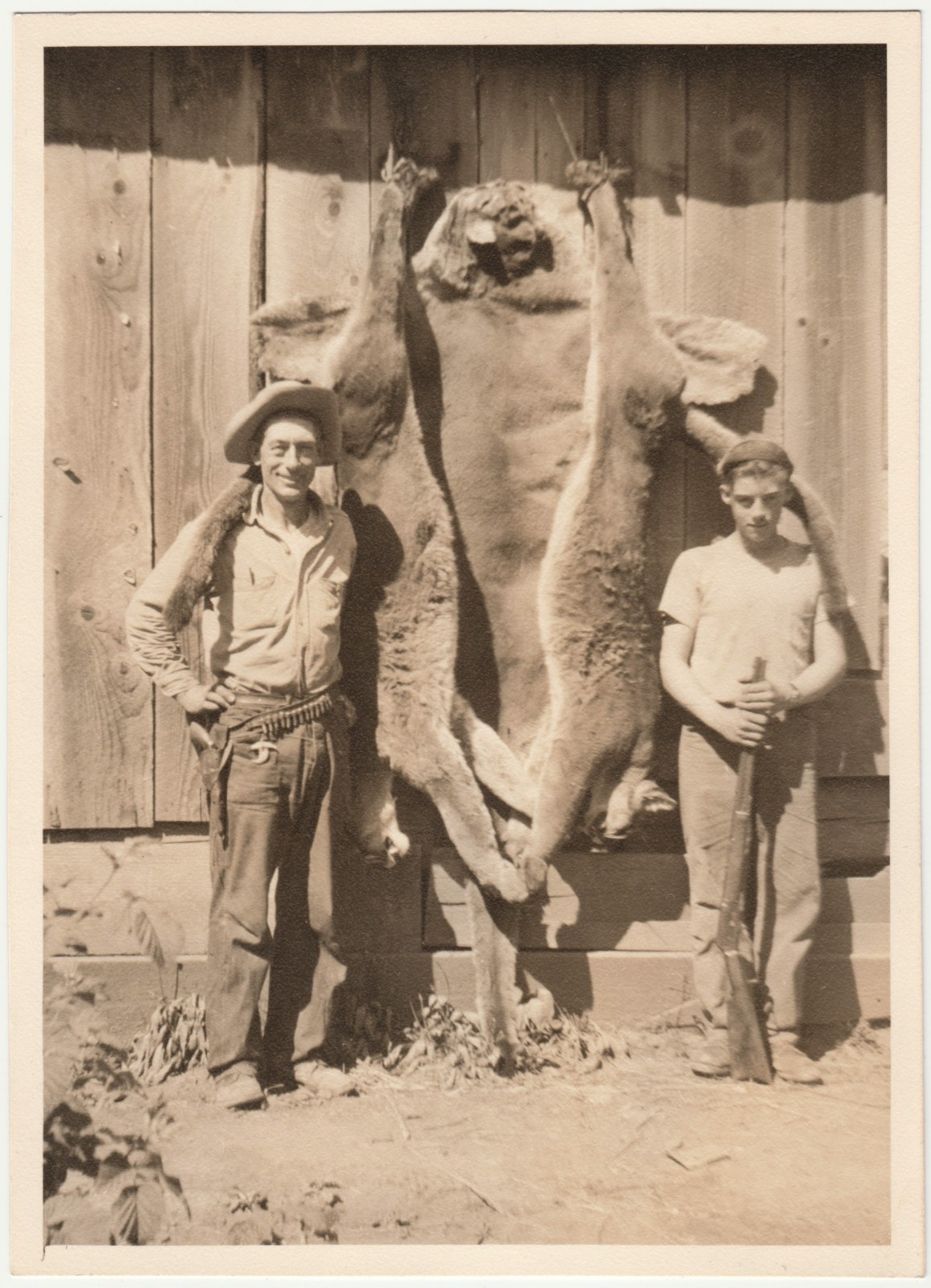 Large Vintage Mountain Lion Cougar Pelt Hunting Photo Rifle Hunters