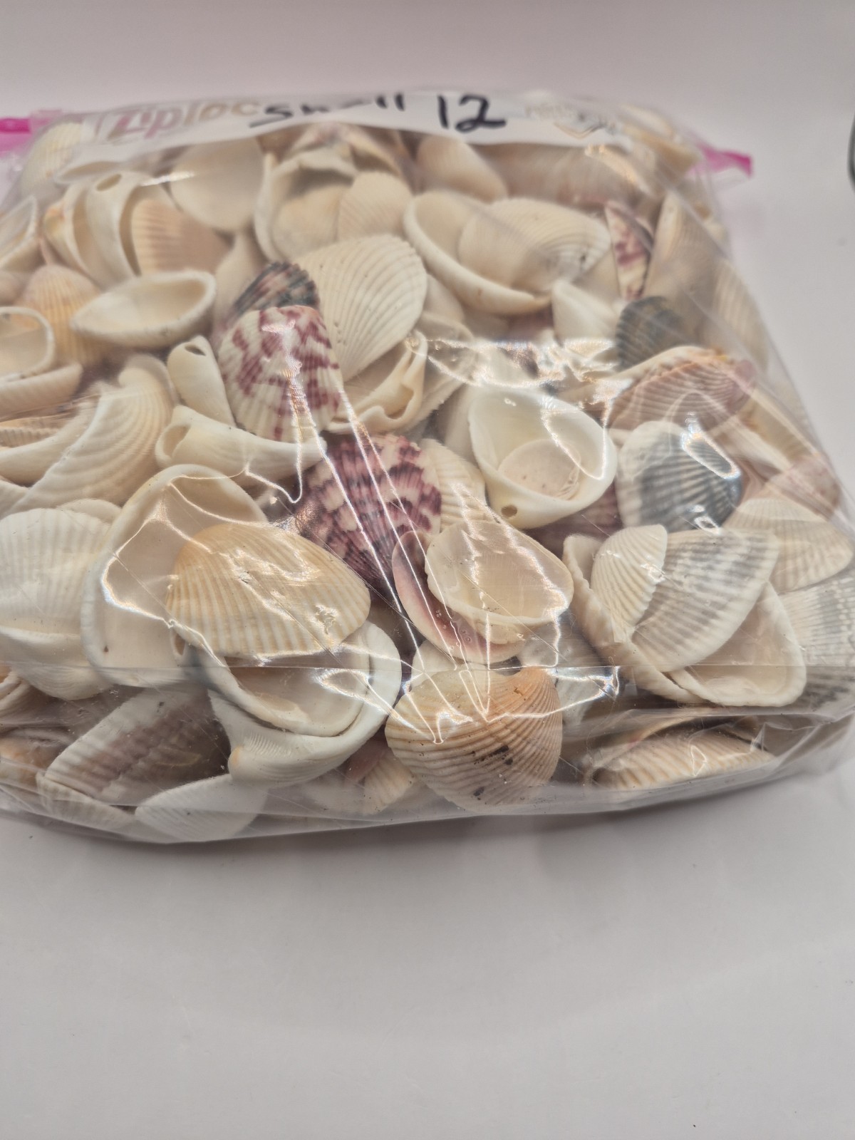 Florida Sea Shells 5 LB Bag Assorted Natural Craft Beach Wedding Decor (Shell 12