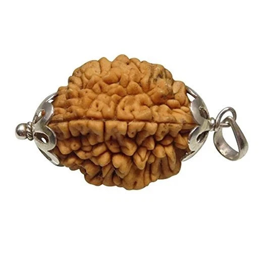 2 TWO MUKHI RUDRAKSHA PENDENT IN SILVER ENERGIZED