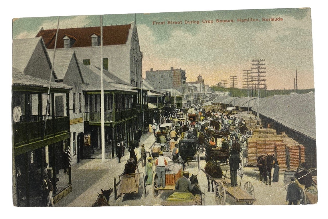 Front Street View During Crop Season ~ Hamilton Bermuda ~ Antique 1910s Postcard
