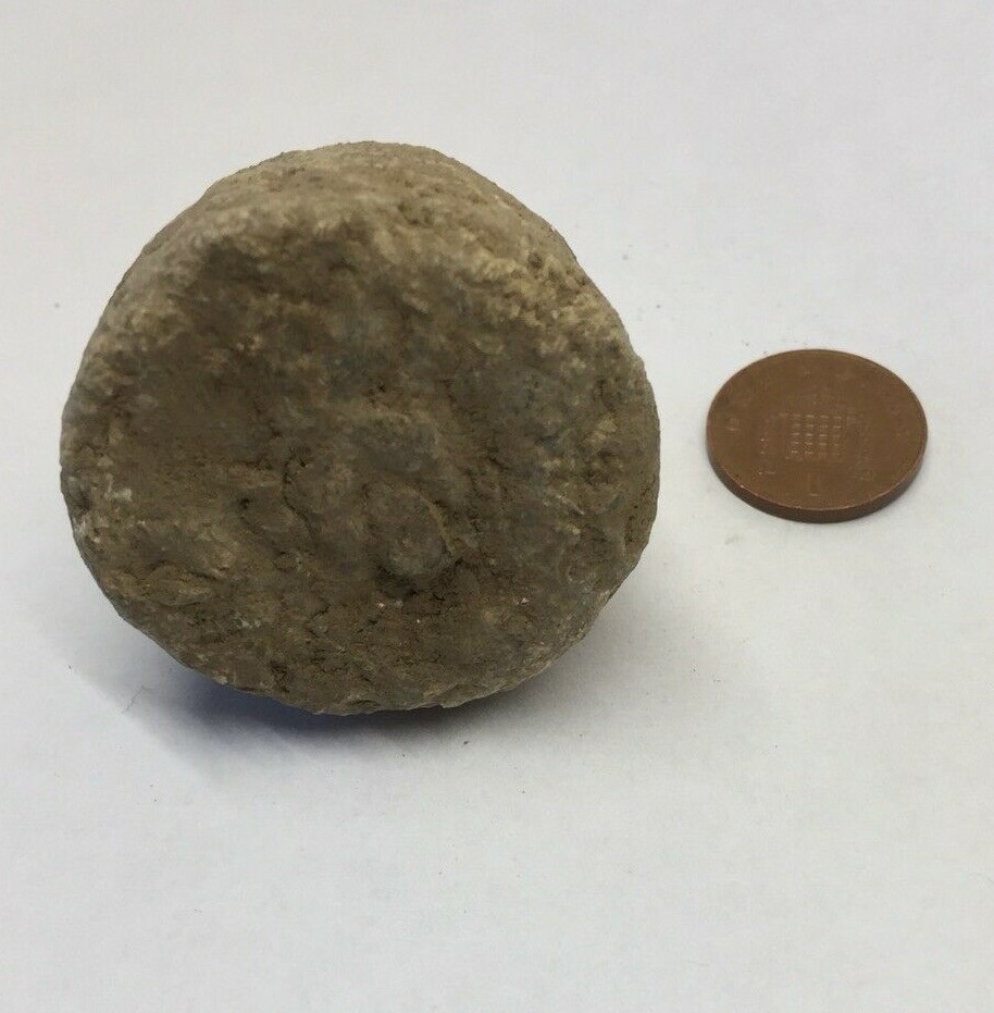 Ancient Roman HEAVY Steelyard Trade Weight Circa 1st – 3rd Century A.D. 251grams