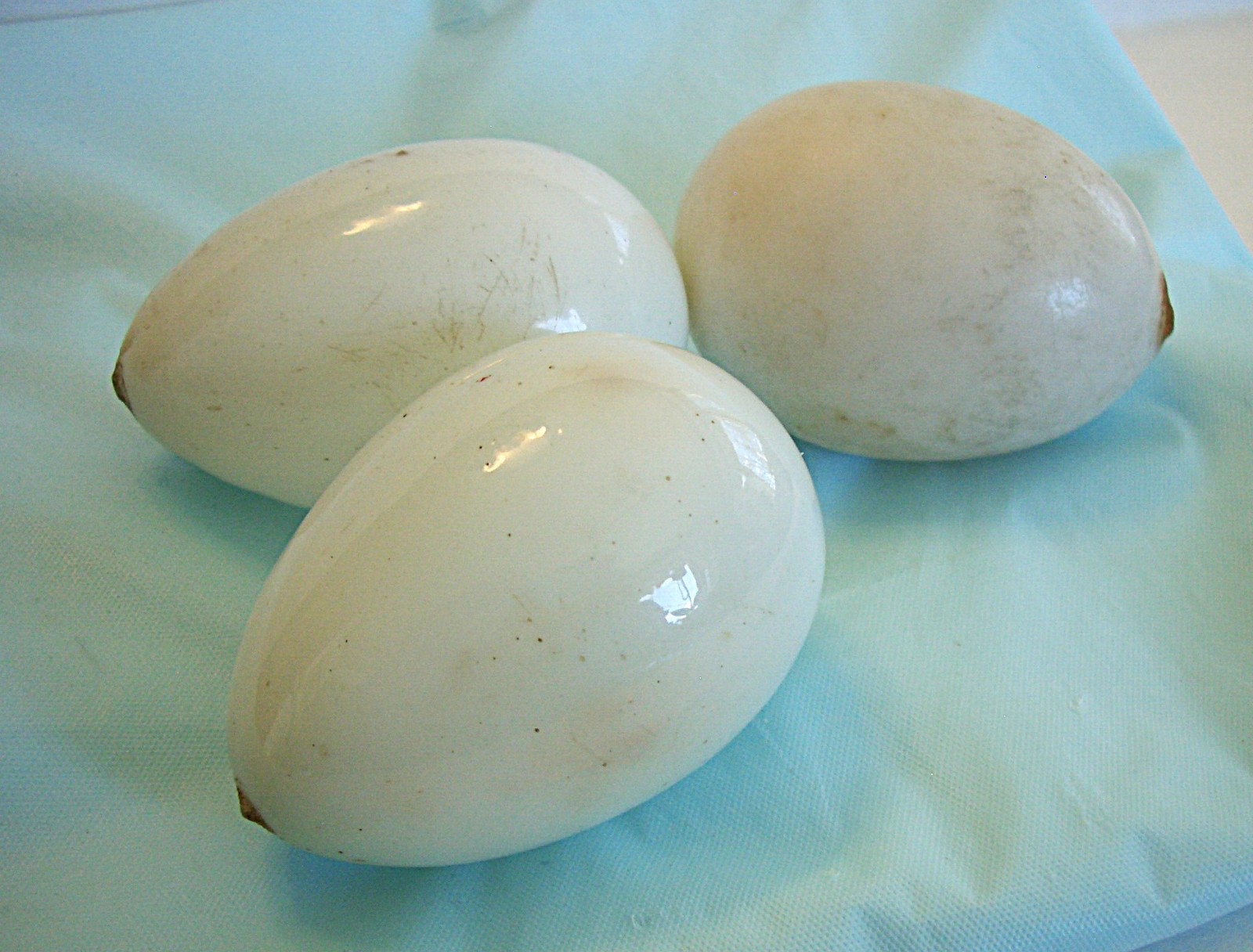 3 Antique Victorian 3″ Milk Glass Eggs Hand Blown Unpainted With Pontils
