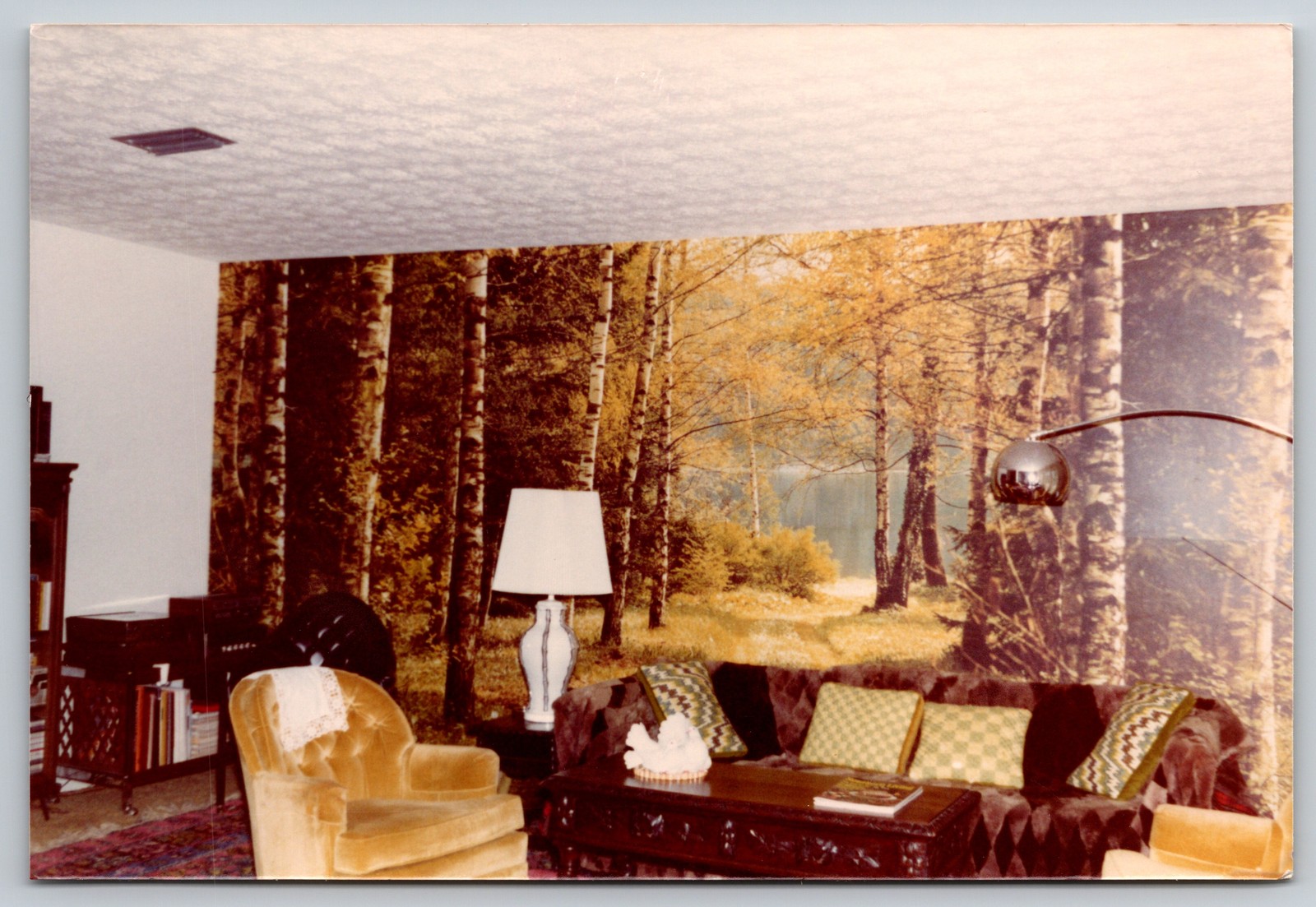 Vintage 1970s Living Room Birch Mural Velvet Sofa Gold Chair Color Photo