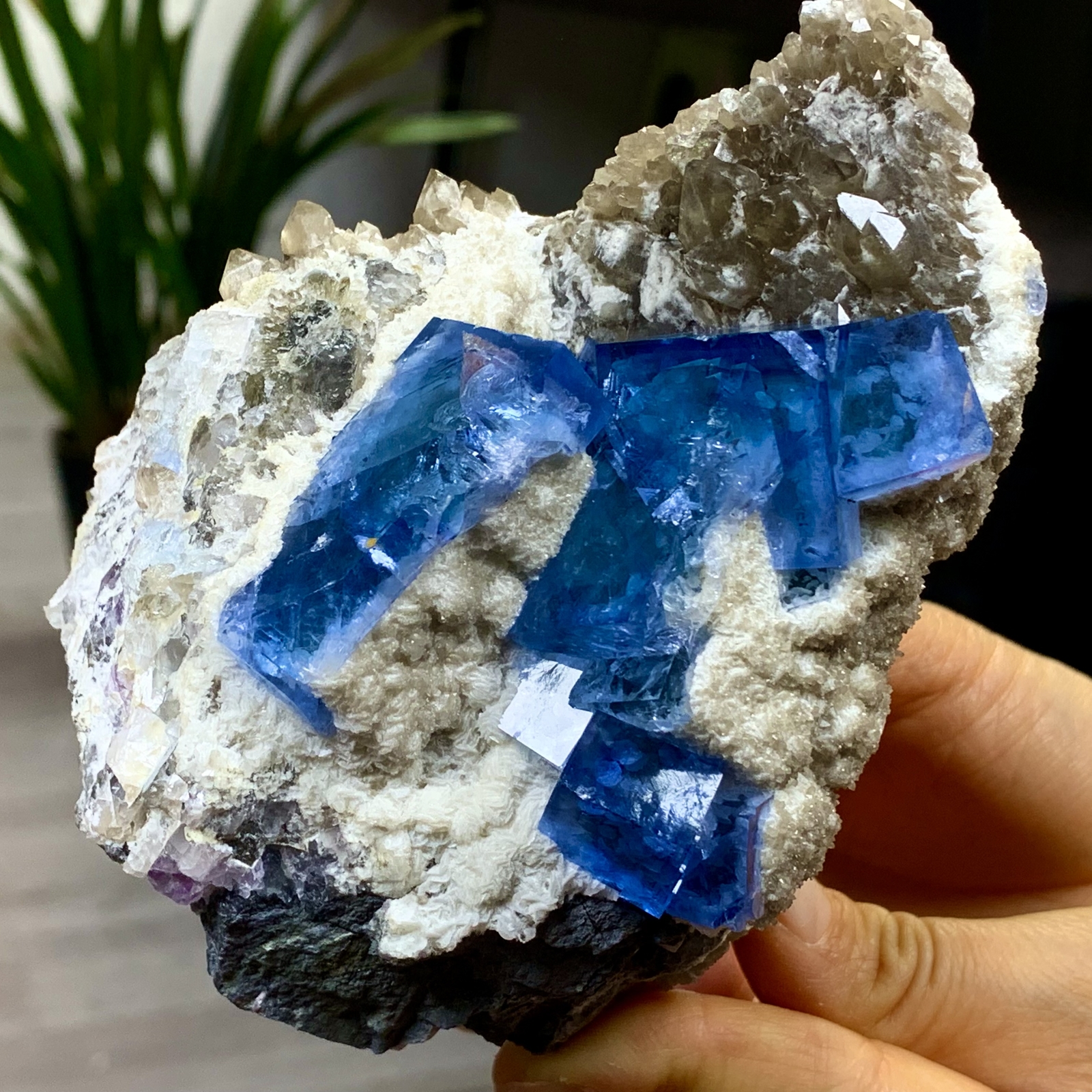 2.25LB Rare blue cubic fluorite +Citrine mineral crystal sample/China