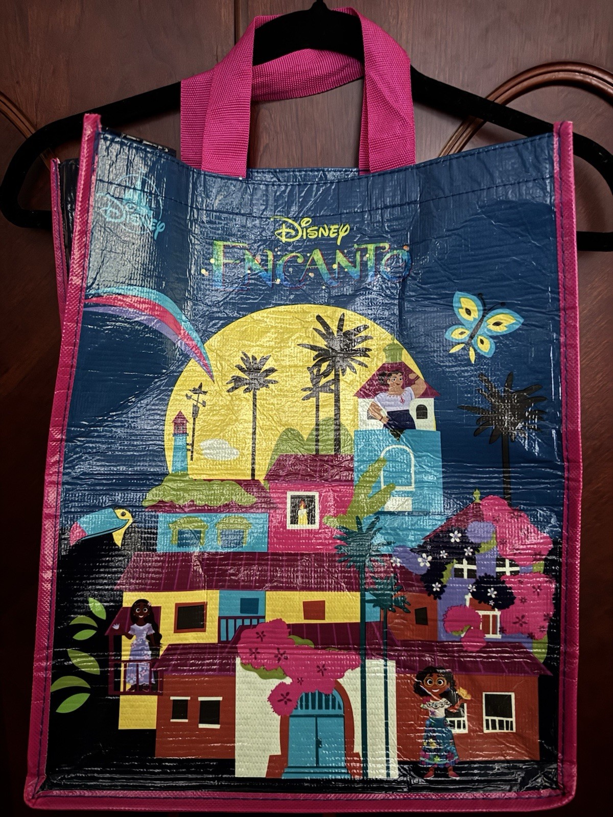Disney Encanto Sturdy Reusable Shopping Bag With Handles