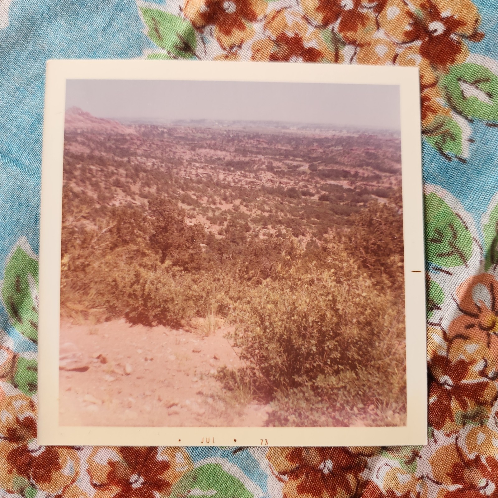 Vintage 1970s Photo 1973 Desert Travel Americana Kodak Color Snapshot