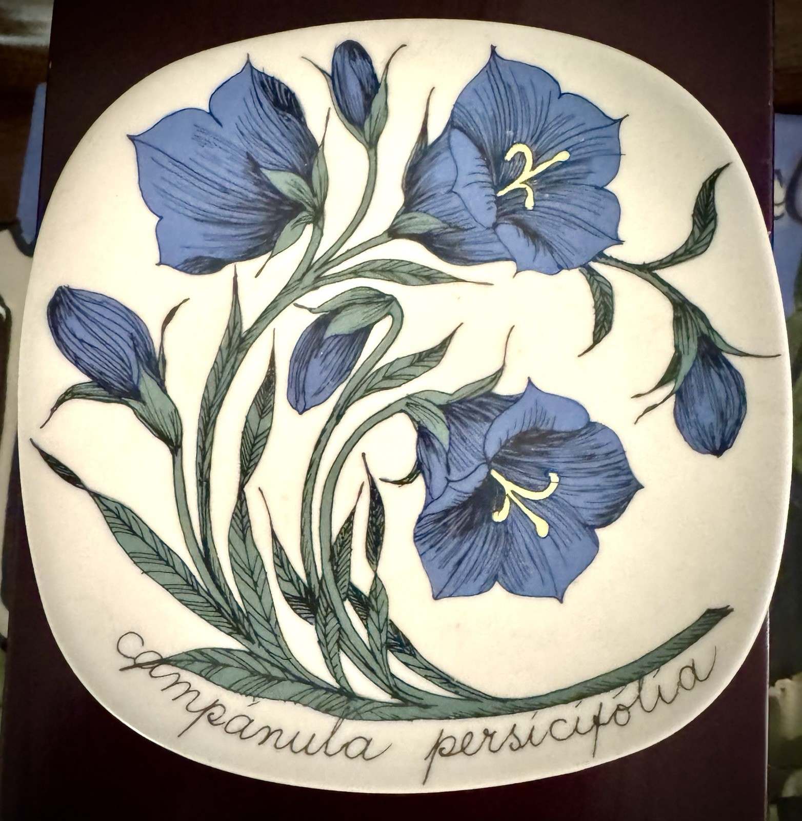 Vintage Esteri Tomula Arabia Finland ceramic Botanica wall plate “bellflower”