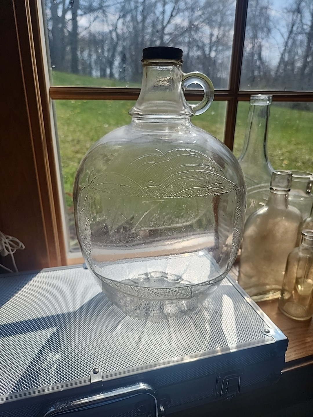 APPLE CIDER VINEGAR GLASS One GALLON JUG w/ Cap Embossed Leaves Vintage