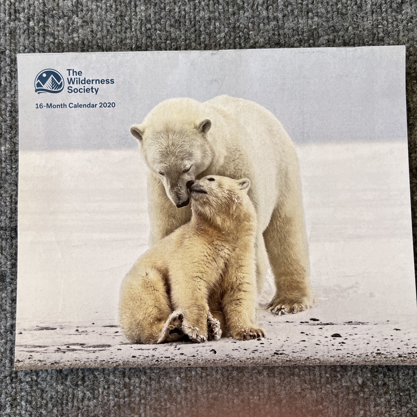 The Wilderness Society 2020 18 Month Calendar Wall Hanging New Nature Wildlife