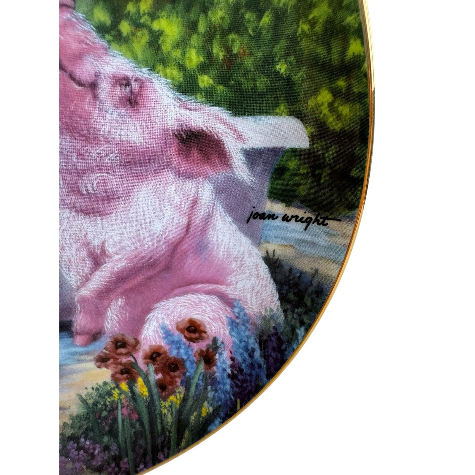 Hog Wash By Joan Wright Pigs In Bloom The Danbury Mint Collectible Plate