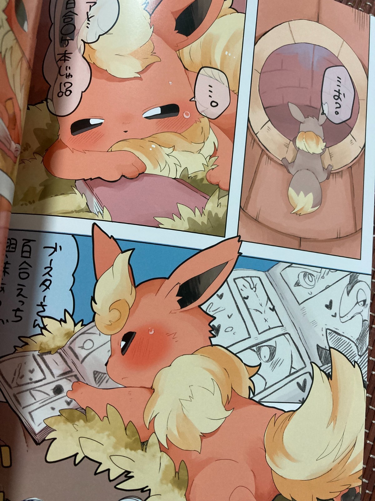 Doujinshi POKEMON Cinderace Lucario Eevee (B5 – 82 Pages) Kairaku Ochi Female #2
