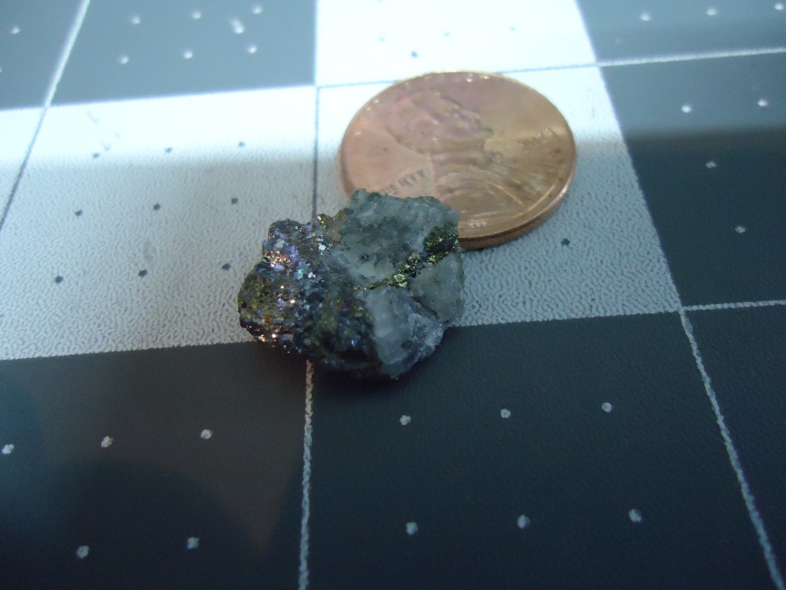 Visible GOLD & CALAVERITE in Quartz Specimen Sunnyside Mine, Silverton COLORADO