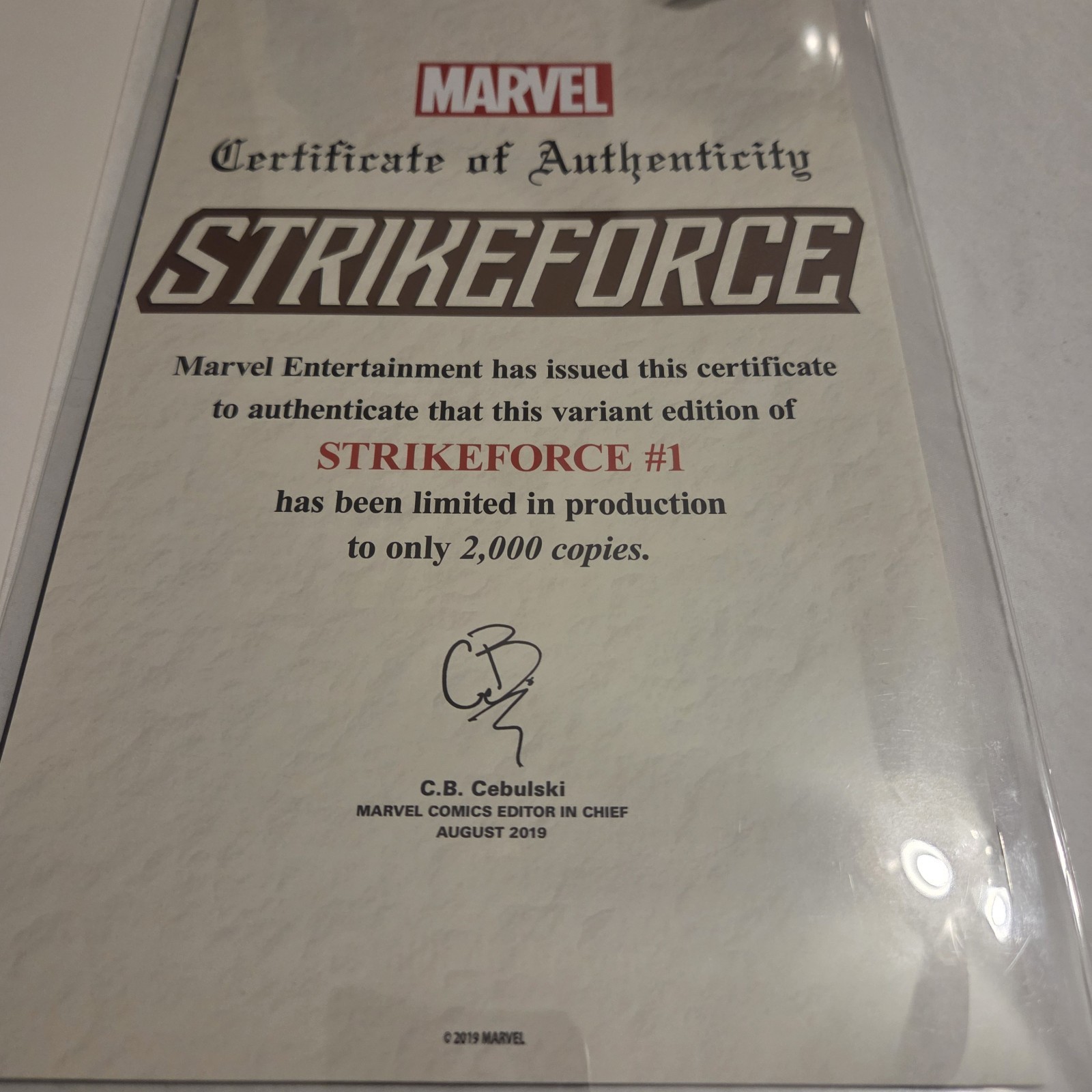 Strikeforce #1 (2019) NYCC Christopher Negative Space Variant #1040/2000 NM