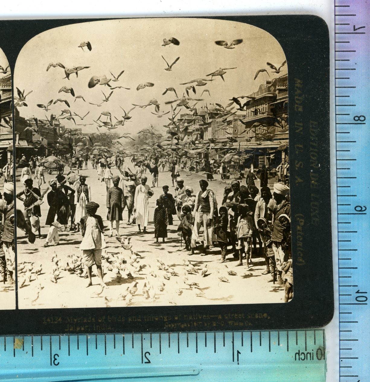 Myriad of Birds & Natives Street Scene Jaipur India J.J. Killelea Stereoview