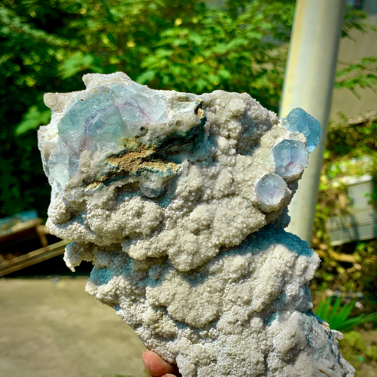 2.7LB pound rare transparent blue cubic fluorite mineral crystal sample/China-