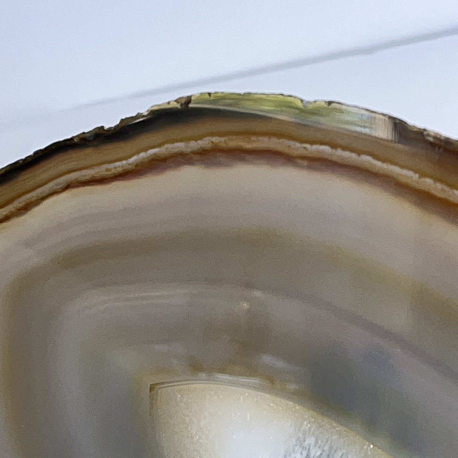 Polished Agate and Quartz Stone Slice Display Art 7.75 Oz 6 1/8”Hx5 3/16”x3/16”