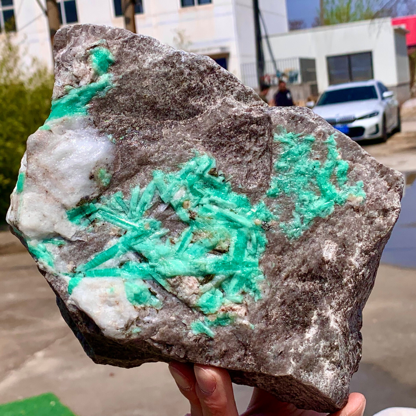 6.14LB Natural Rare Emerald Gem Crystal Mineral Specimen/China