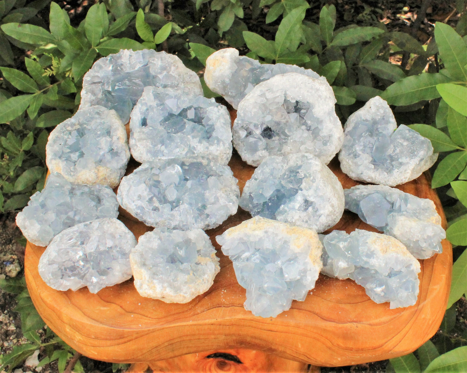 Celestite Crystal Cluster – High Quality Celestite Geodes (Blue Celestite Druze)