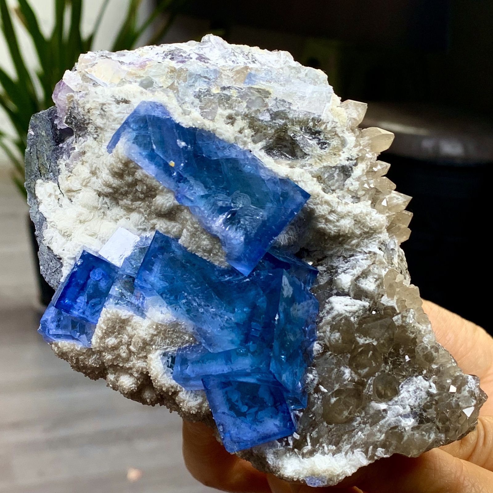 2.25LB Rare blue cubic fluorite +Citrine mineral crystal sample/China