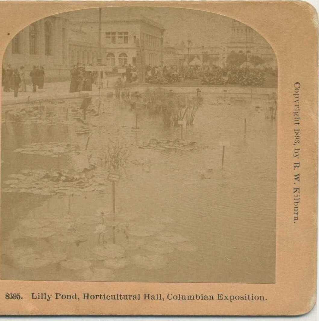 Lilly Pond, Horticultural Hall, c1890, Chicago, Illinois, Kilburn, Exhibitions