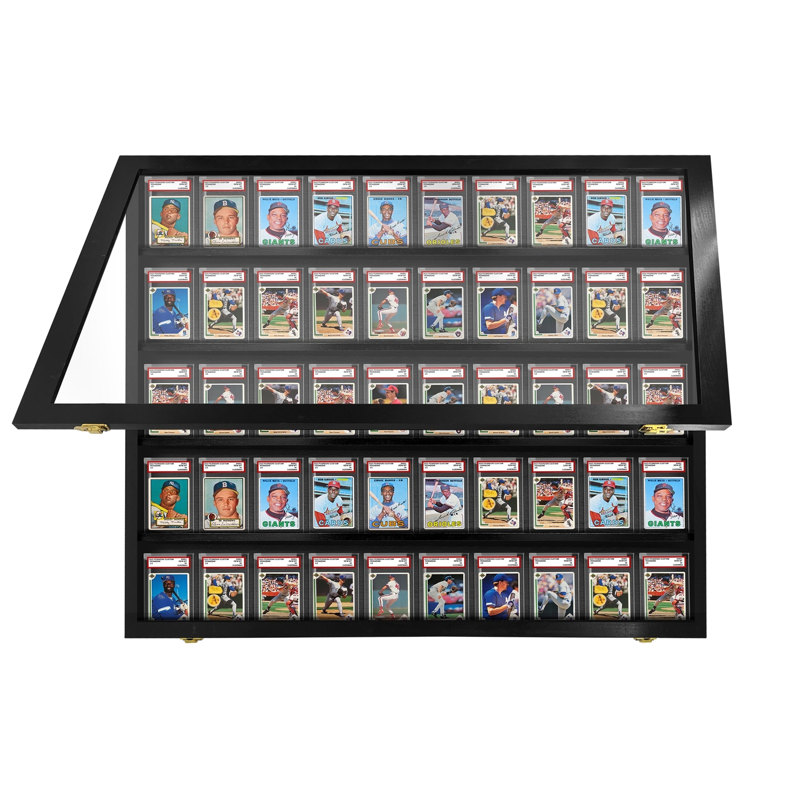 PENNZONI Sports Card Display Case, Holds 50 PSA Graded Sports & Playing Cards