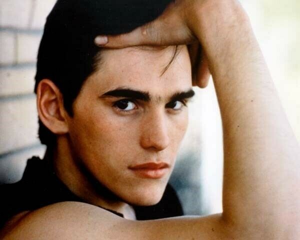 Matt Dillon 12×18 inch poster portrait from The Outsiders