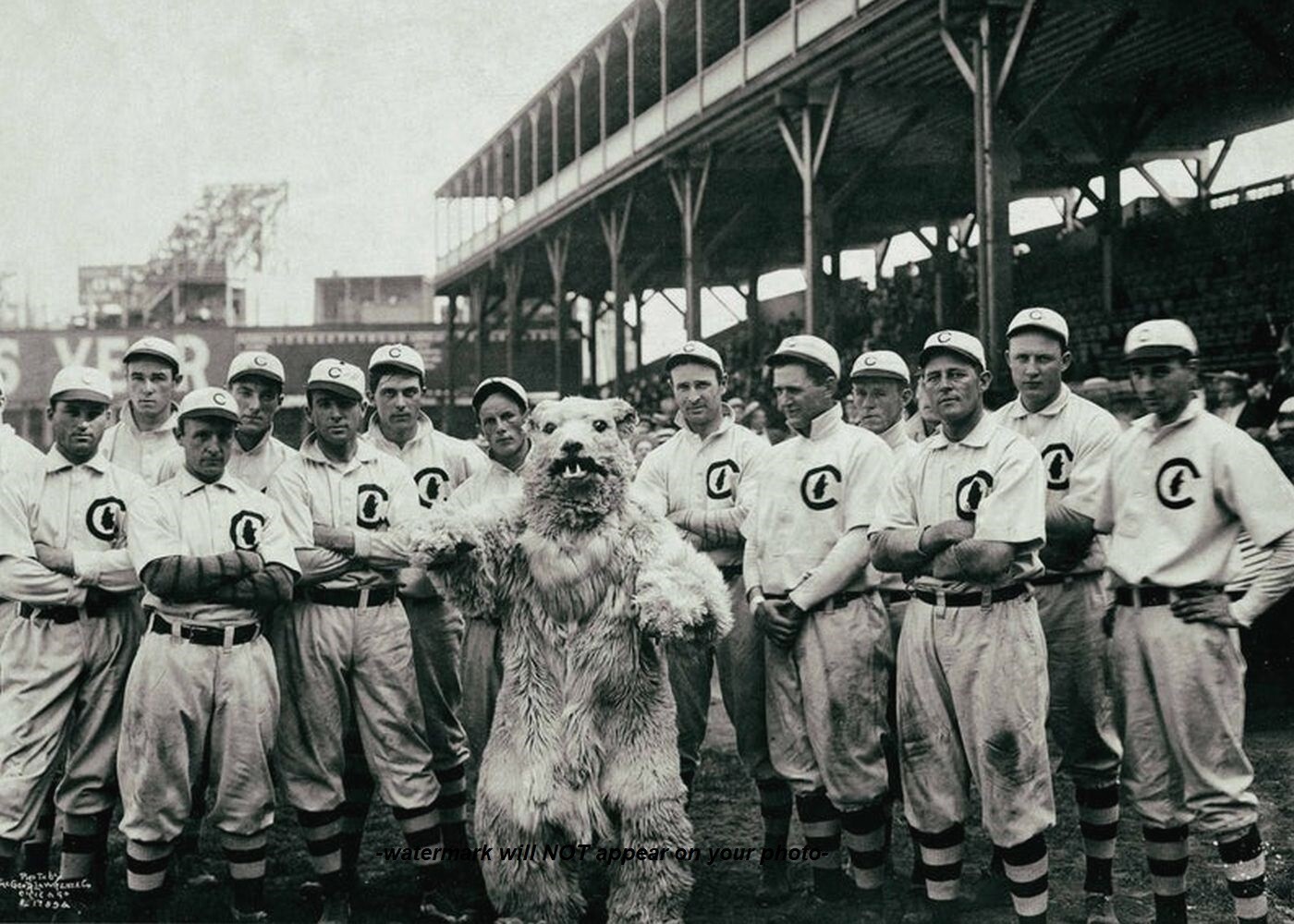 1909 Chicago Cubs Team PHOTO Mascot Wrigley Field Stadium