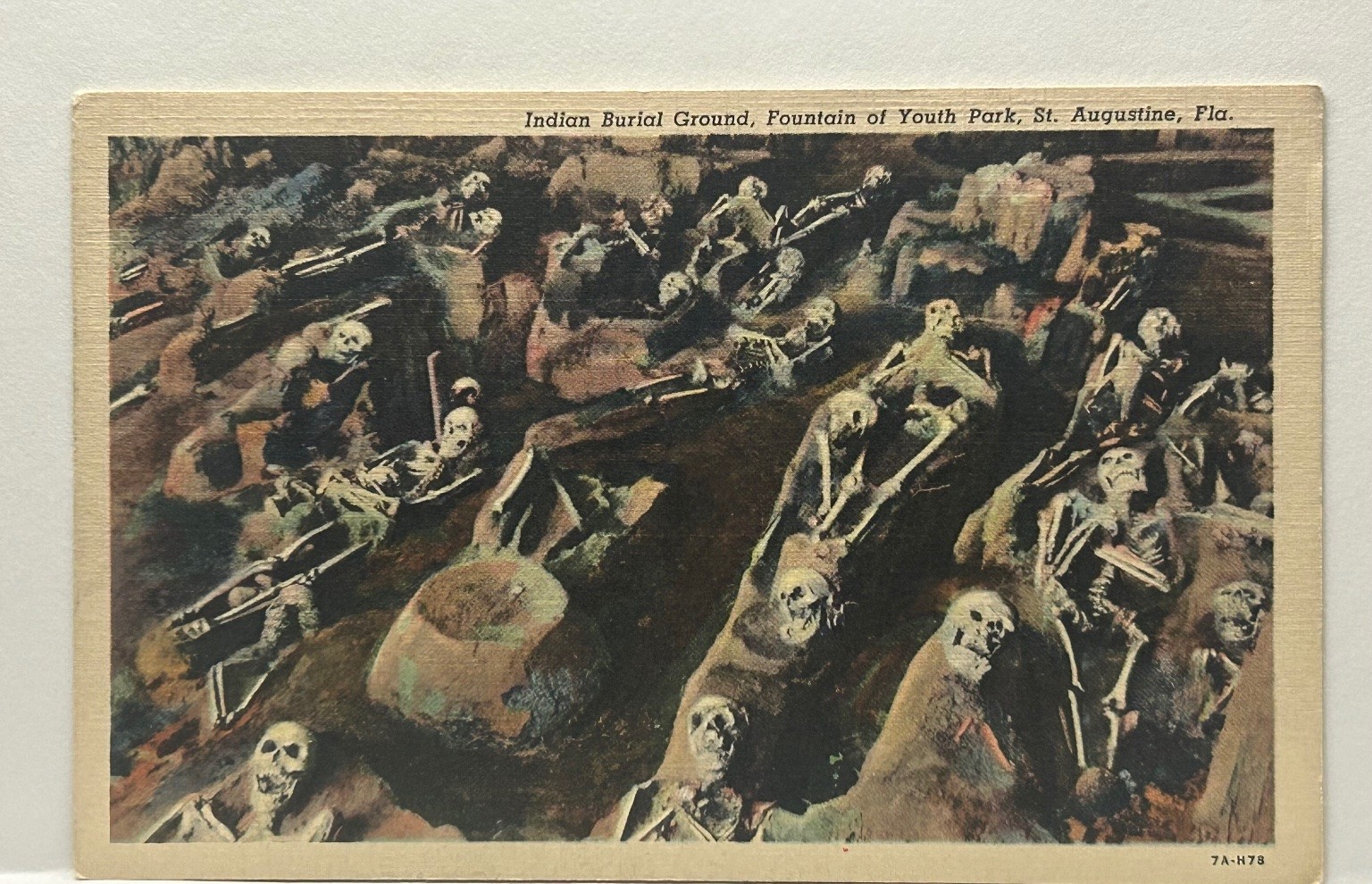 1937 Curt Teich Postcard Indian Burial Ground Fountain of Youth St. Augustine FL