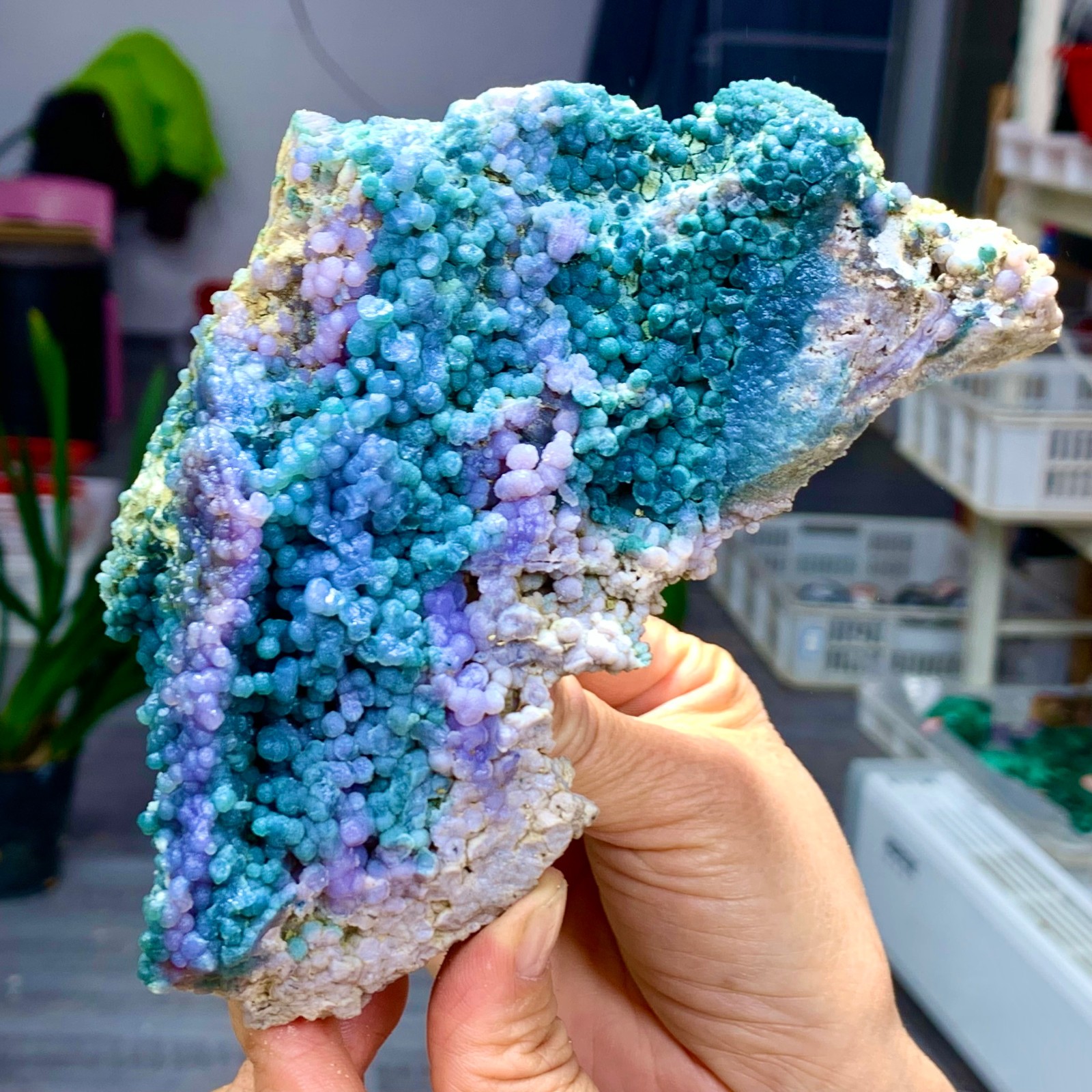 1.34LB Natural purple grape agatequartz crystal granular mineralspecimen