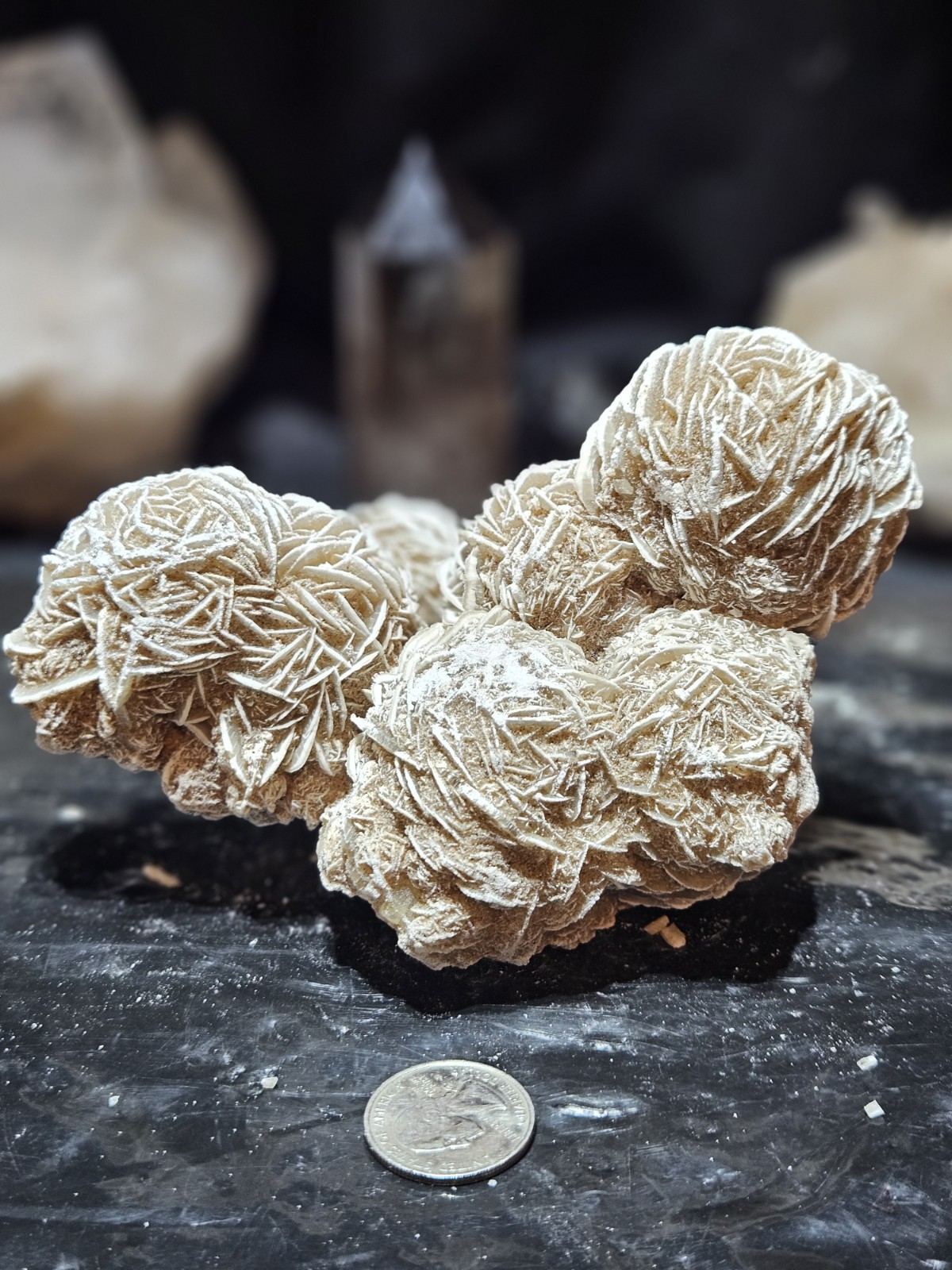 Selenite Desert Rose Specimen Natural Form (2lbs 1oz) #6