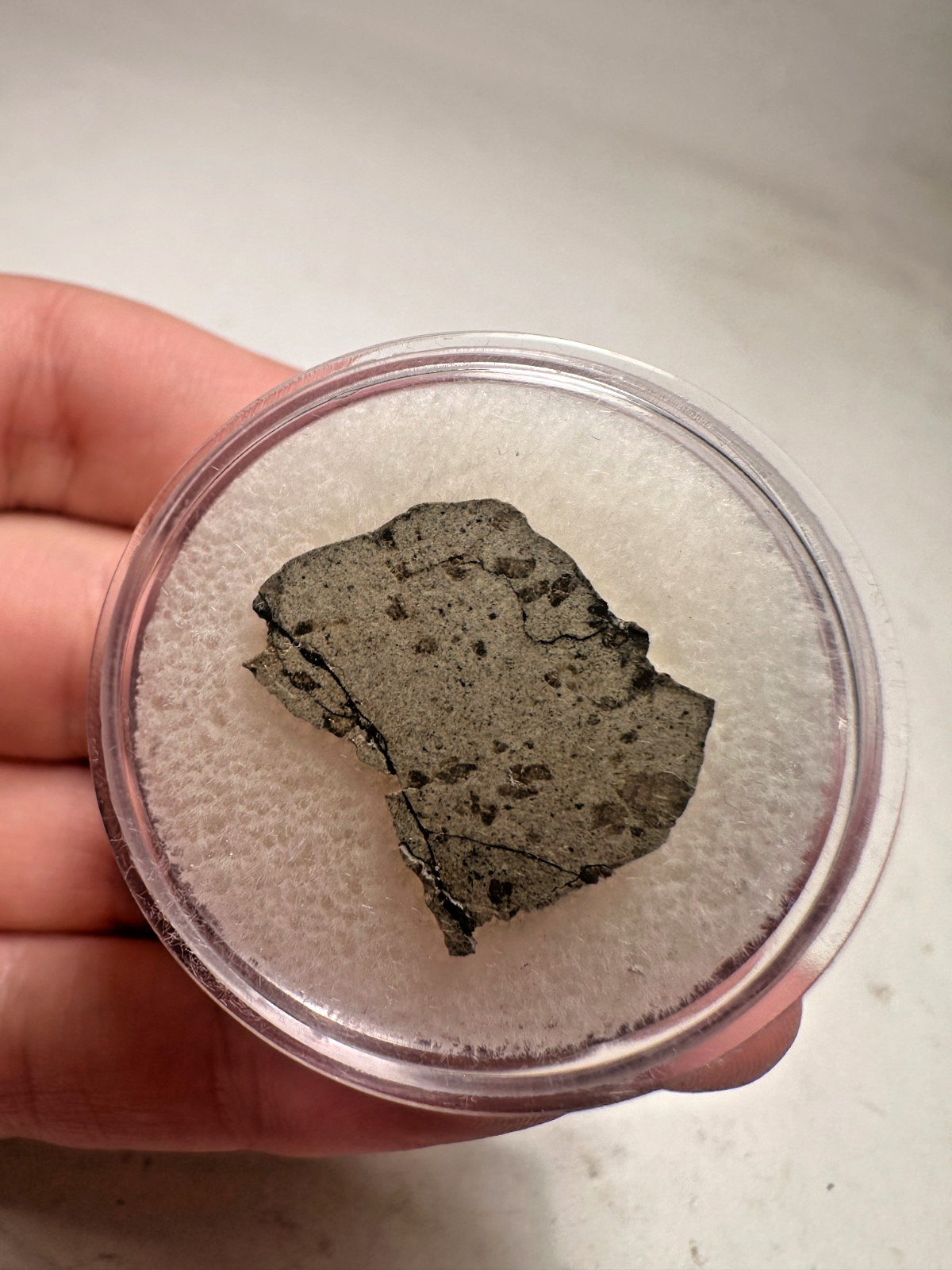 MUSEUM QUALITY! RARE TARKINT 001 MARTIAN SHERGOTTITE METEORITE! 1.8 GMS