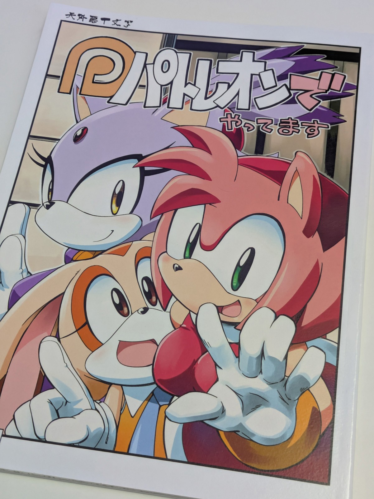 SONIC Doujinshi (B5 36 pages) Patoreon de yattemasu