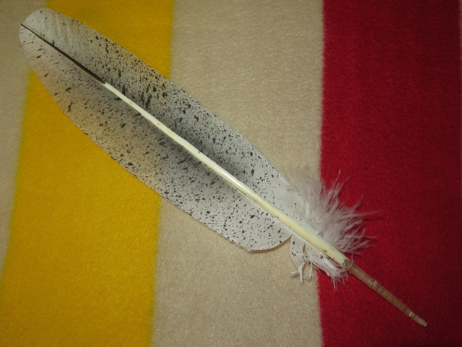 Native American Bald Eagle Tail Feather Hand painted, Simulated Bald Eagle