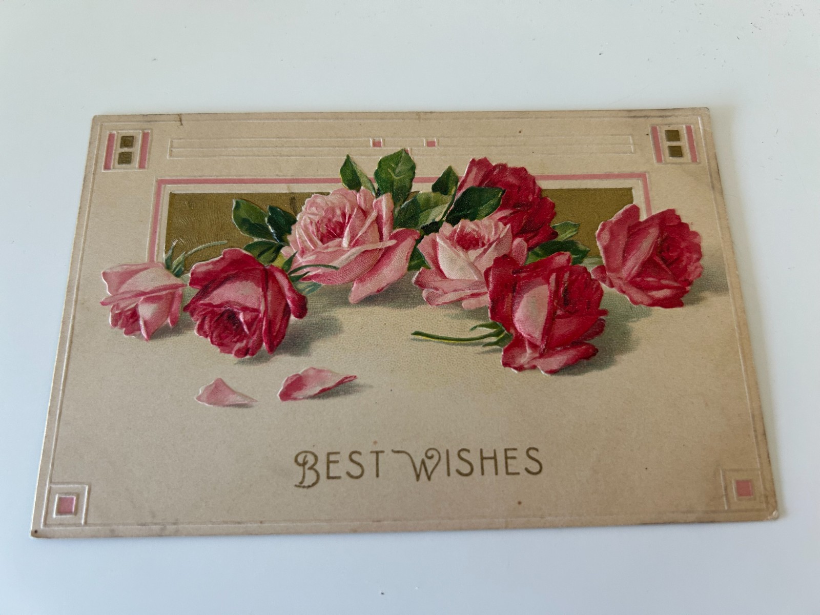 Best Wishes Pink Roses Vintage Postcard