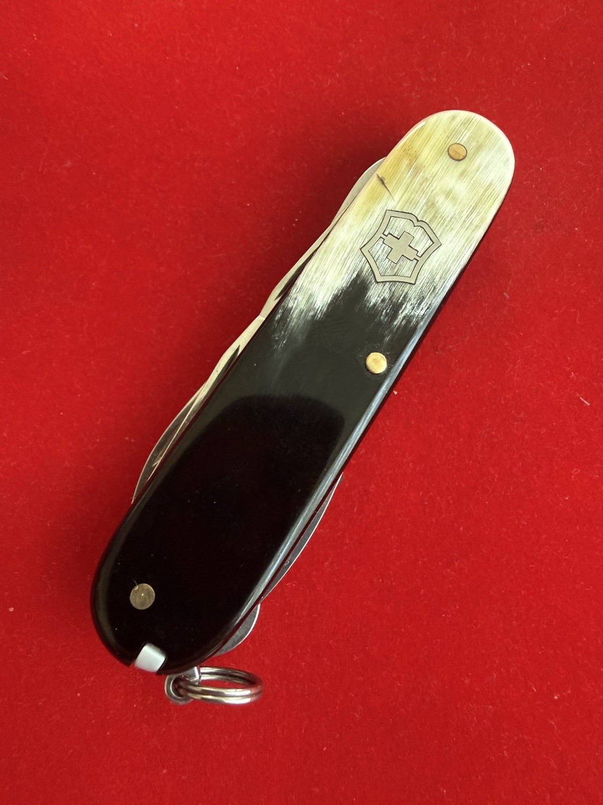 Victorinox Climber 91mm Custom Horn