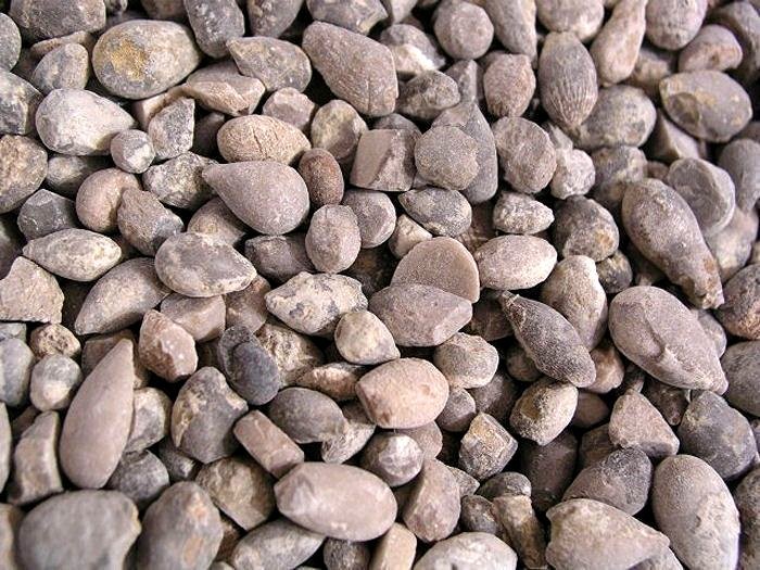 Sea urchin spine bulb fossils mid Jurassic 1 pound lots 30 plus pieces