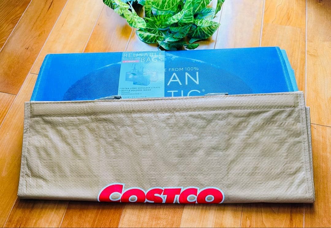 Costco Costoco Bag Ocean Women Rare Ware House Model Limited Editioin VHTF Colle