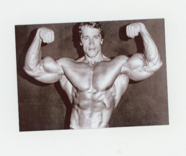 Arnold Schwarzenegger – METAL Trading Card – Governor – Mr Universe 💪 Actor