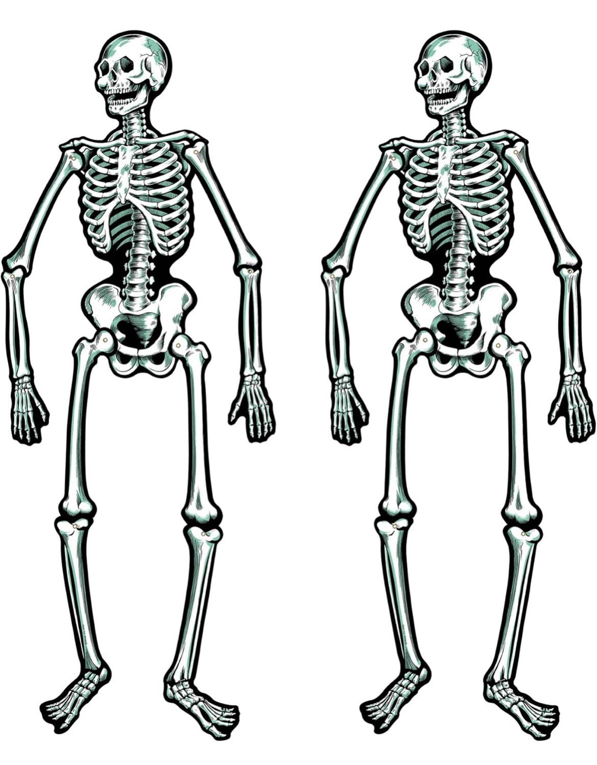 Beistle Vintage 2 Skeletons Halloween Decorations, 22-inch Jointed Assembled