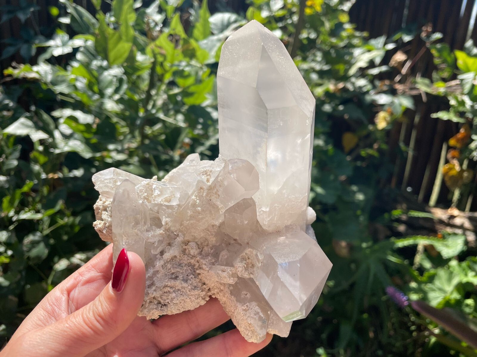 Zambian Clear Quartz Crystal cluster 0.77kg 15.04cm