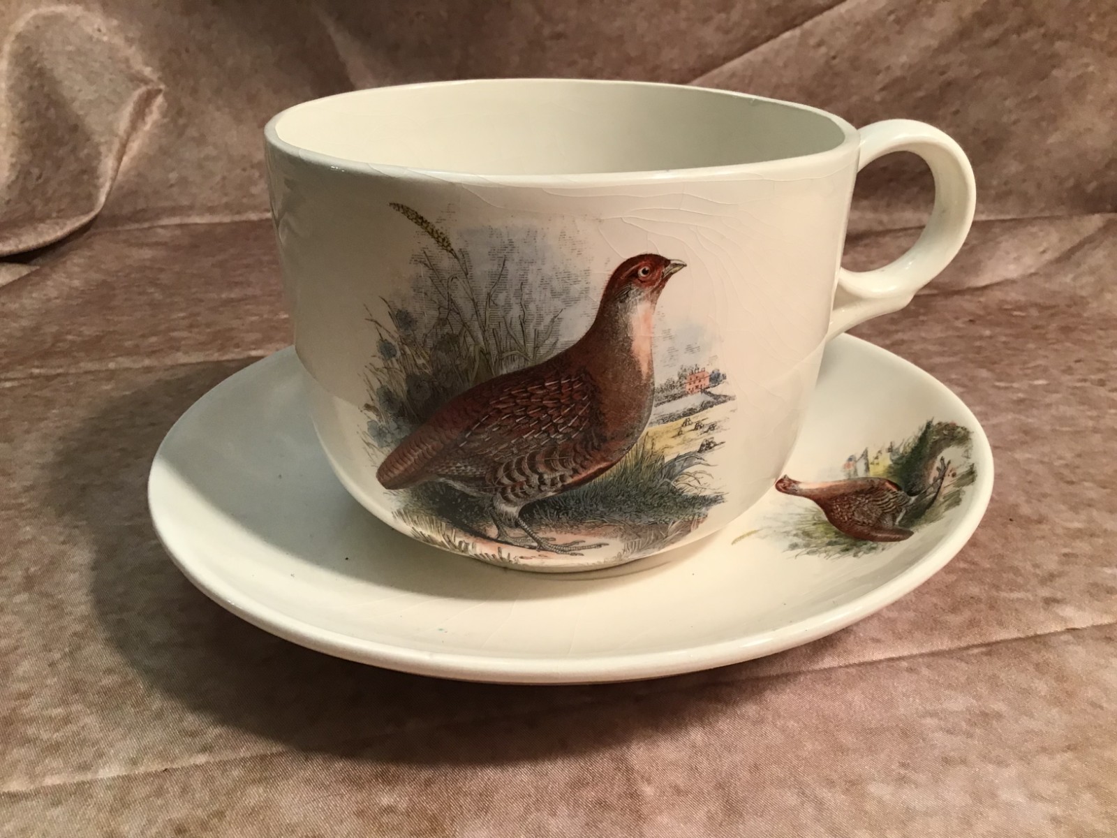Pheasant Large Cup & Saucer Lady Bug design in Bottom of Cup