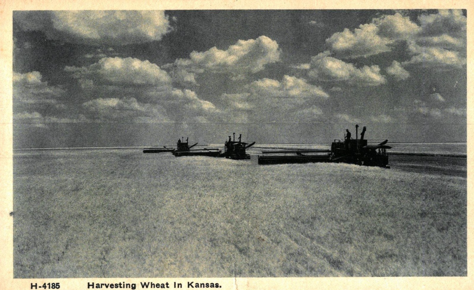Harvesting Wheat In Kansas, Vintage Postcard