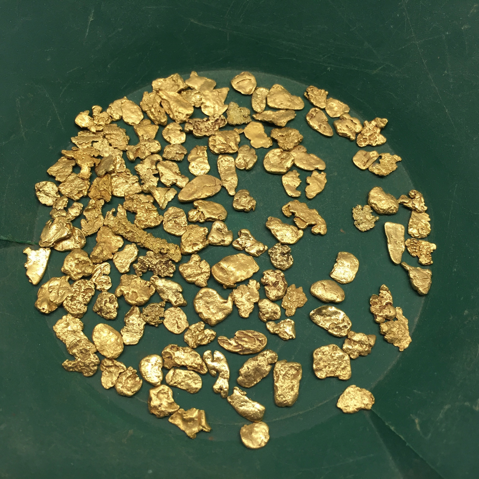 10 pound NUGGET RESERVE ELITE Gold Panning Paydirt – Guaranteed Unsearched