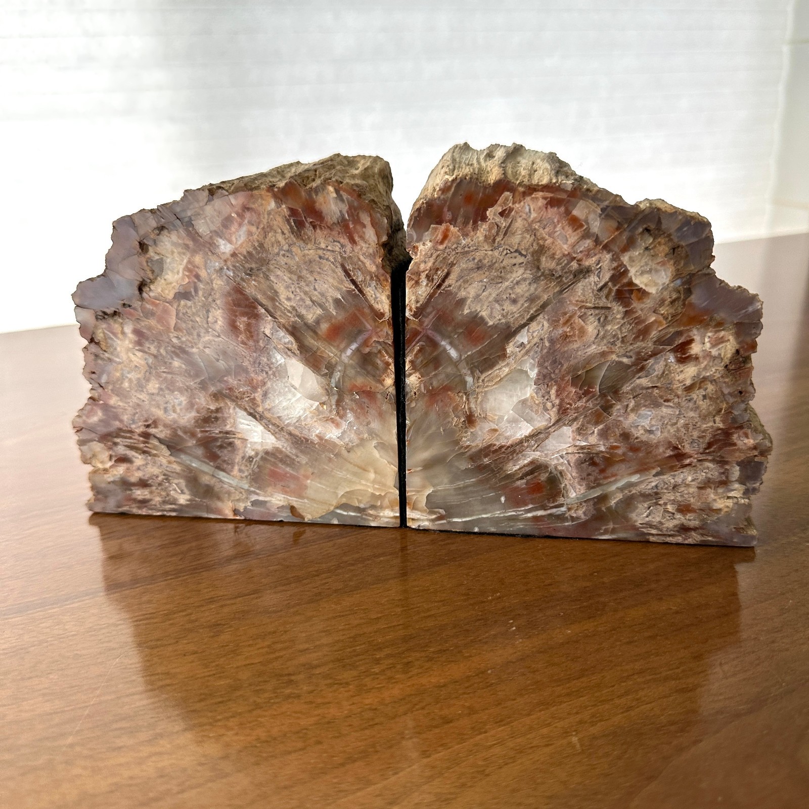 Arizona Petrified Wood Bookends Woodworthia Arizonica Natural Edge Polished 4.5″