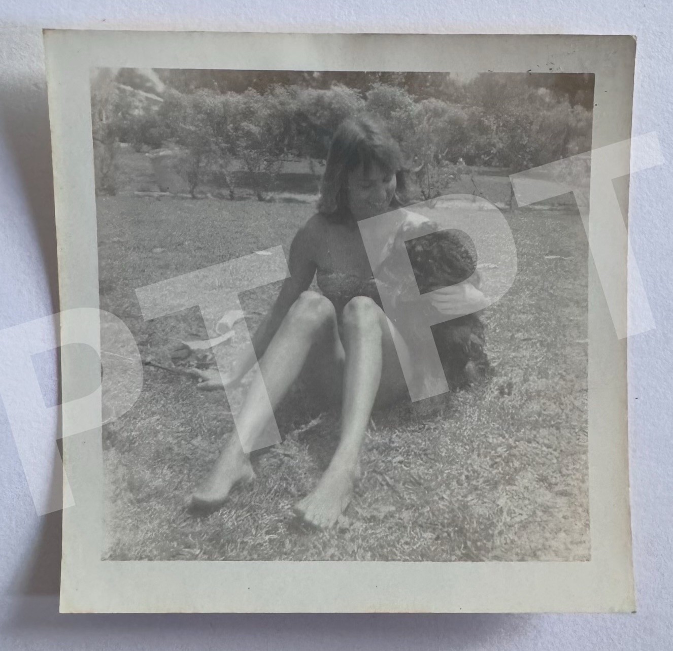 Vtg Photo Pretty Young Woman In Swimsuit Cuddling Cute Black Dog Outside 1965